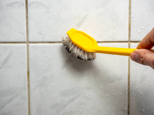Best Attic Mold Removal  in St Marys, PA